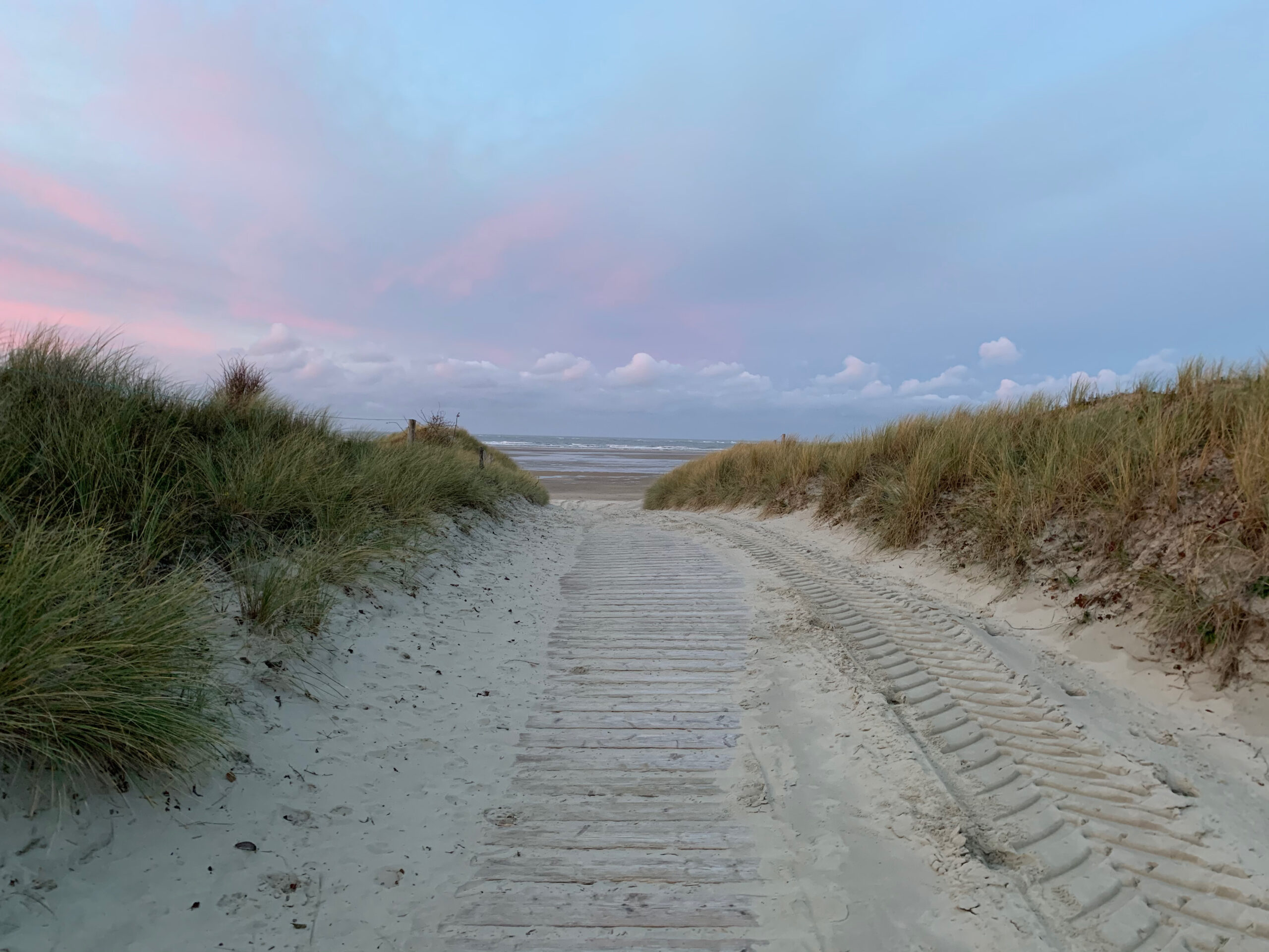 Blick aus den Dünen auf den Strand